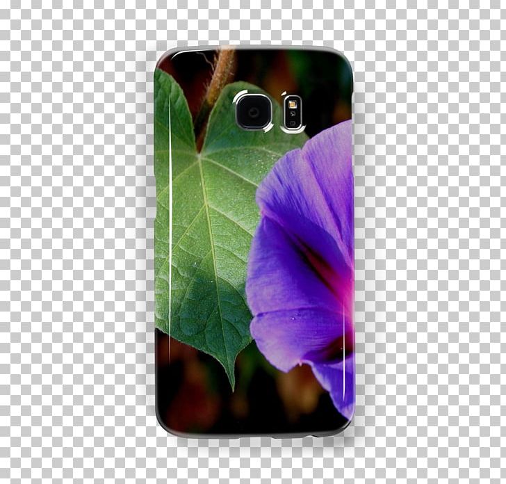 Samsung Galaxy IPhone IPad Mini Portable Network Graphics Telephone PNG, Clipart, Desktop Wallpaper, Flower, Flowering Plant, Ipad Mini, Iphone Free PNG Download