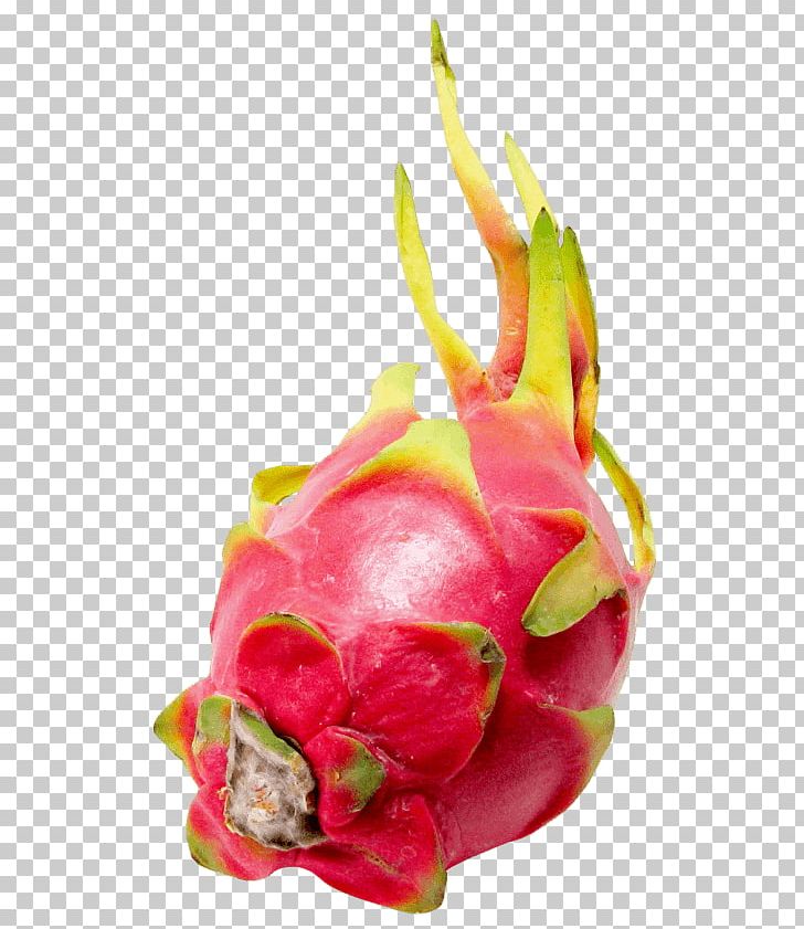 White-fleshed Pitahaya Pitaya Portable Network Graphics Fruit Juice PNG, Clipart, Download, Dragon, Dragon Fruit, Dragonfruit, Food Free PNG Download