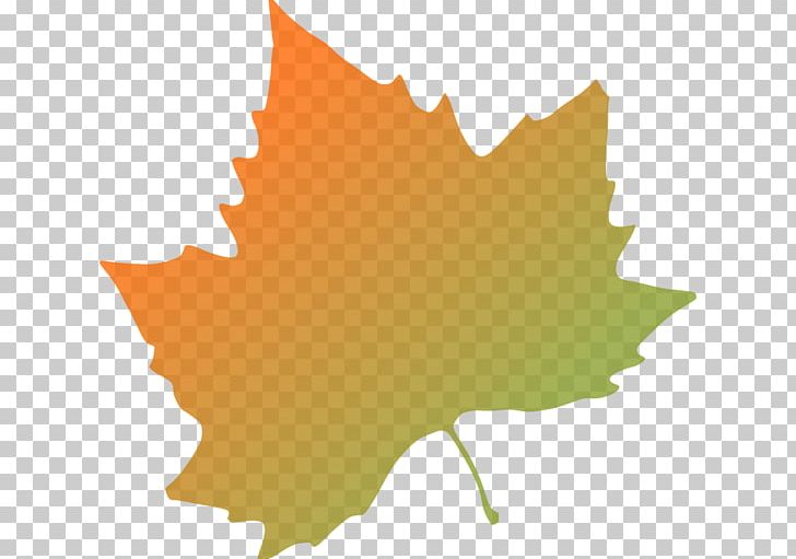 Autumn Leaf Color PNG, Clipart, Autumn, Autumn Leaf Color, Color, Computer Wallpaper, Flowering Plant Free PNG Download
