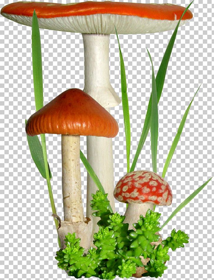 Mushroom Fungus Flower PNG, Clipart, Alejate, Autumn, Blog, Clip Art, Flower Free PNG Download