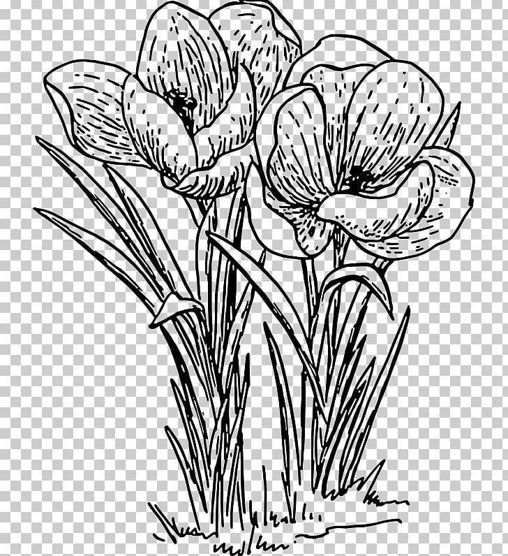 Rose Flower Drawing PNG, Clipart, Artwork, Black And White, Crocus, Cut ...