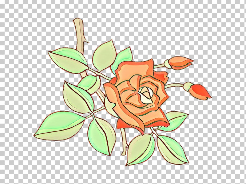 Rose PNG, Clipart, Cut Flowers, Flower, Magnolia, Petal, Plant Free PNG Download
