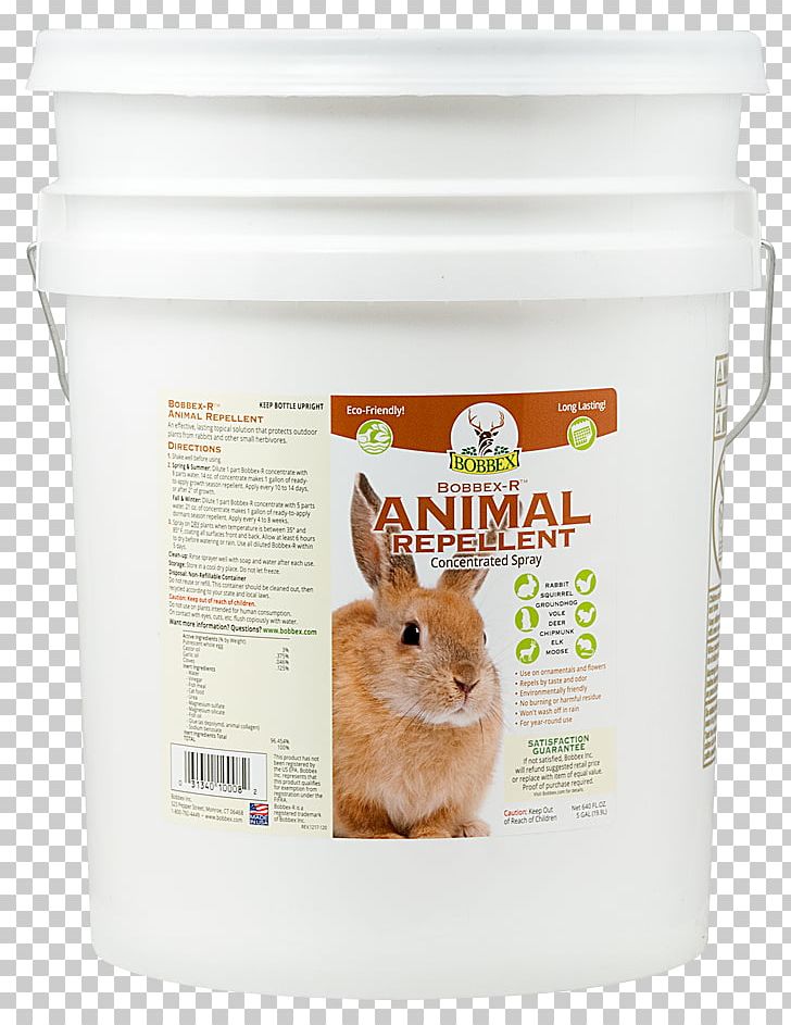Domestic Rabbit Squirrel Animal Repellent Household Insect Repellents Groundhog PNG, Clipart, Animal, Animal Repellent, Animals, Domestic Rabbit, Garden Free PNG Download