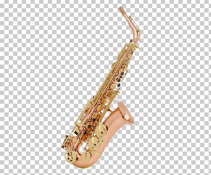 Alto Saxophone Soprano Saxophone Woodwind Instrument Musical Instruments PNG, Clipart, Alto Saxophone, Baritone Saxophone, Bassoon, Brass, Brass Instrument Free PNG Download