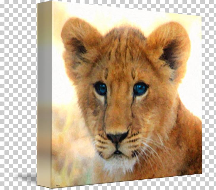 Cougar East African Lion Baby Lions Leopard Lion Cubs PNG, Clipart, Animal, Animals, Baby Lions, Big Cat, Big Cats Free PNG Download