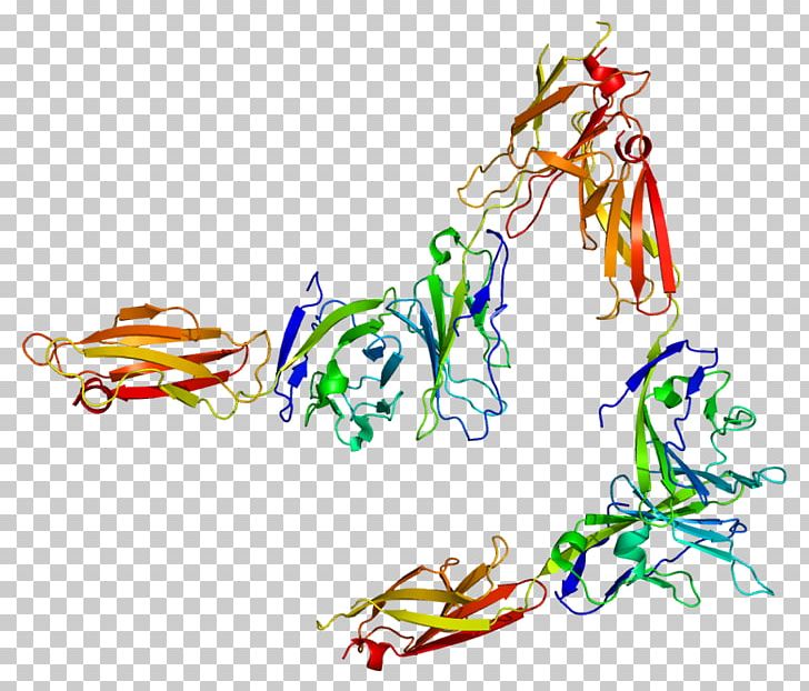 Digamma Protein Domain SLAMF6 Gene PNG, Clipart, Art, Artwork, Digamma, Gene, Graphic Design Free PNG Download