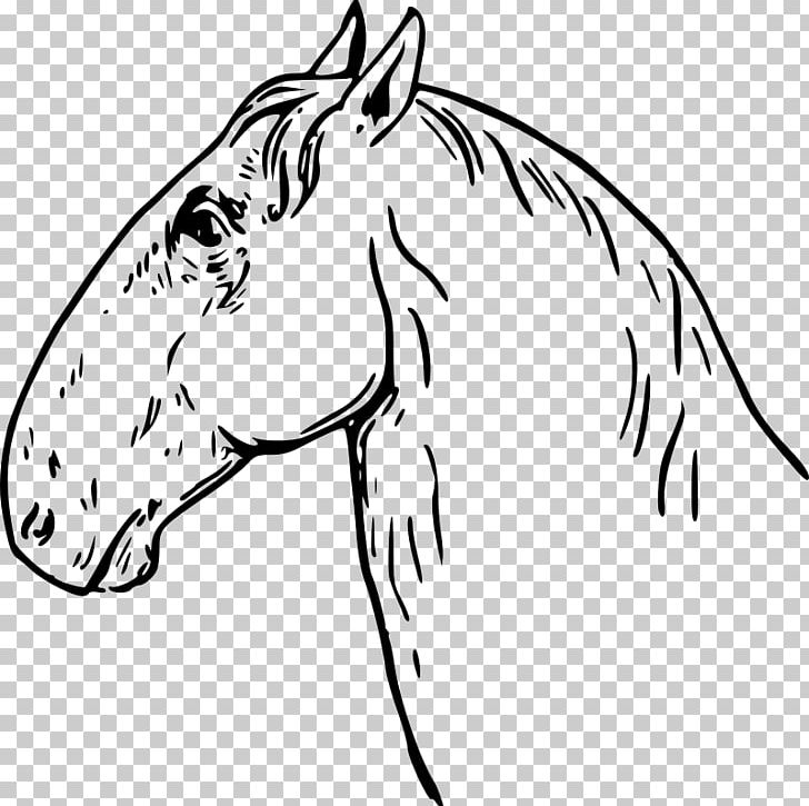 Friesian Horse Foal Show Jumping Horseshoe Gratis PNG, Clipart, Black, Carnivoran, Cat Like Mammal, Coach, Dog Like Mammal Free PNG Download
