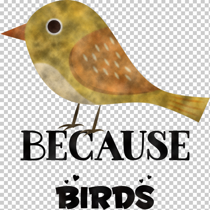 Because Birds Bird Animal PNG, Clipart, Animal, Beak, Belief, Biology, Bird Free PNG Download