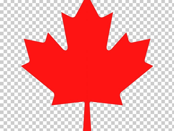 Canada Maple Leaf PNG, Clipart, Canada, Canadian, Computer Icons, Flag Of Canada, Flower Free PNG Download