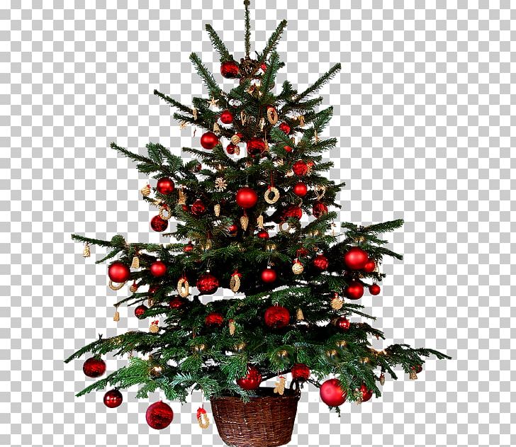 Christmas Decoration Christmas Tree Animation PNG, Clipart, Animation, Christmas Card, Christmas Decoration, Christmas Lights, Christmas Tree Free PNG Download