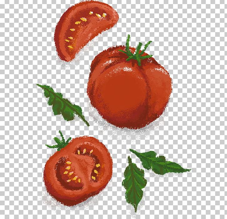 Food Vegetarian Cuisine Vegetable Garnish Tomato PNG, Clipart, Brand, Food, Food Drinks, Fruit, Garnish Free PNG Download