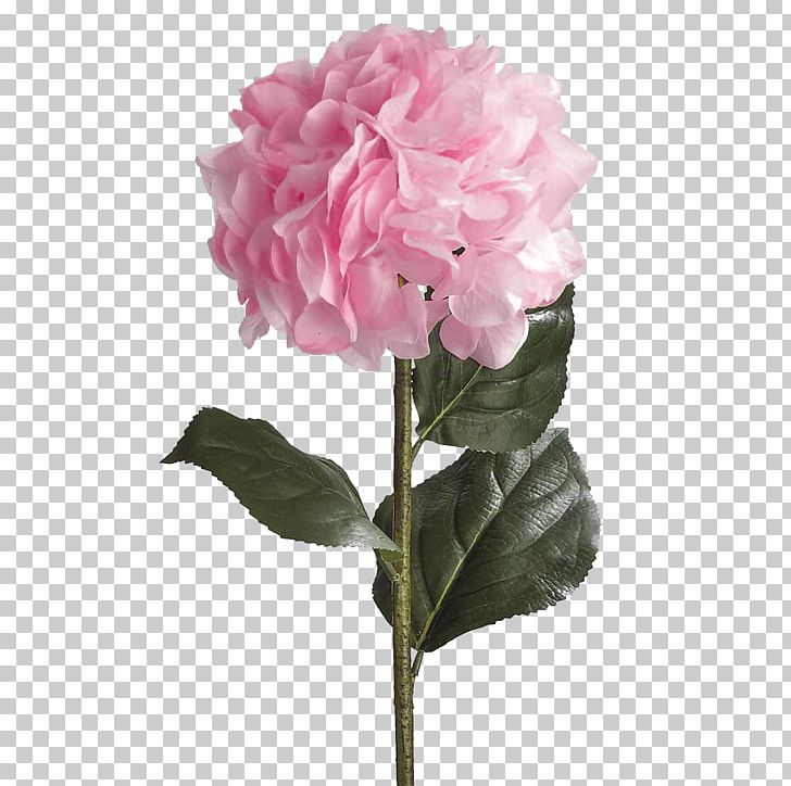 French Hydrangea Plant Stem Artificial Flower Rose PNG, Clipart, Branch, Bud, Color, Cornales, Cut Flowers Free PNG Download
