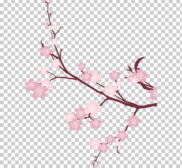 Cherry Blossom Branch Tree PNG, Clipart, Blossom, Branch, Cherry, Cherry Blossom, Dine Free PNG Download