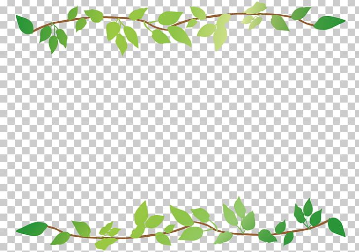 Leaf Frame Rectangular . PNG, Clipart, Area, Branch, Color, Flora, Flower Free PNG Download