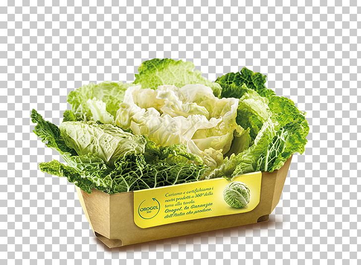 Romaine Lettuce Savoy Cabbage Broccoli Vegetarian Cuisine Spring Greens PNG, Clipart, Broccoli, Bruxelles, Cabbage, Chef, Cooking Free PNG Download