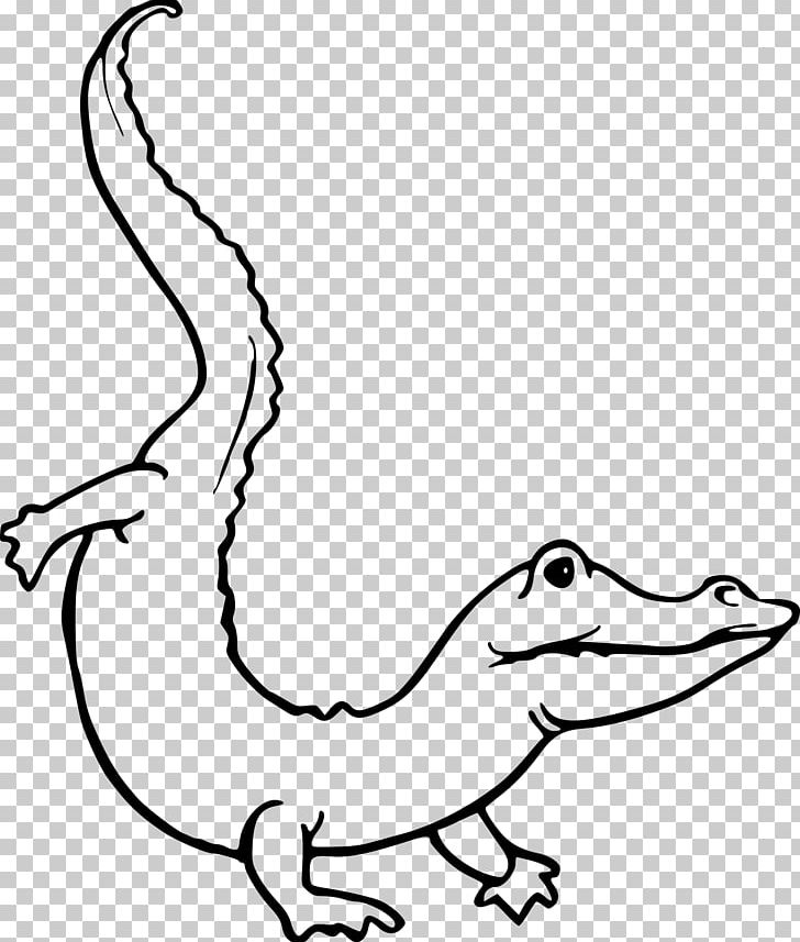 Crocodile Alligator Drawing PNG, Clipart, Animal Figure, Animals, Area, Beak, Black And White Free PNG Download