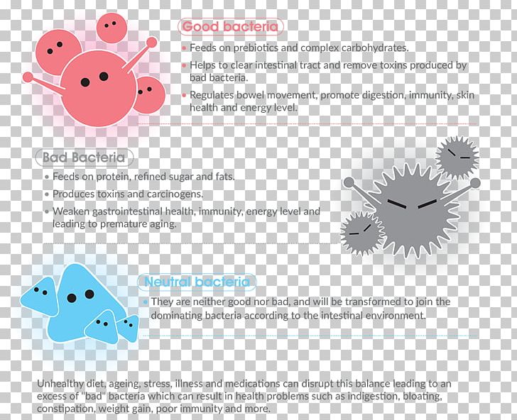 Gut Flora Probiotic Gastrointestinal Tract Prebiotic Large Intestine PNG, Clipart, Area, Bacteria, Brand, Carbohydrate, Diagram Free PNG Download