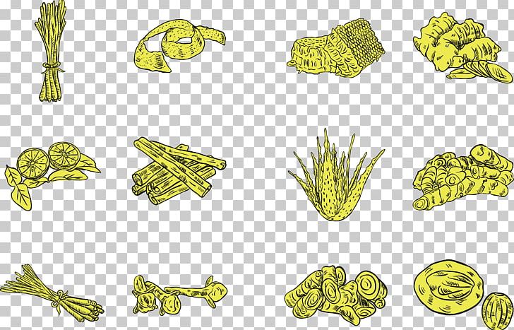 Herb Spice PNG, Clipart, Condiment, Download, Encapsulated Postscript, Euclidean Vector, Fresh Vector Free PNG Download