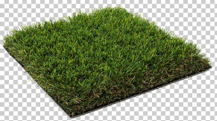 Artificial Turf Lawn Garden Carpet Flooring PNG, Clipart, Artificial Turf, Carpet, Cushion, Diamond Pile, Fiber Free PNG Download