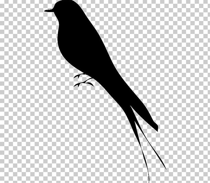 Bird Silhouette Drawing PNG, Clipart, Art, Beak, Bird, Black And White, Branch Free PNG Download