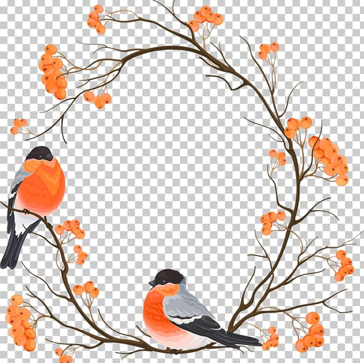 Eurasian Bullfinch Drawing Embroidery PNG, Clipart, Beak, Bird, Border, Border Frame, Branch Free PNG Download