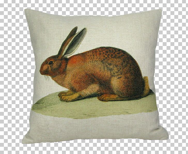 Domestic Rabbit Throw Pillows Easter Bunny PNG, Clipart, Brown Bunny, Chair, Cotton, Couch, Cushion Free PNG Download