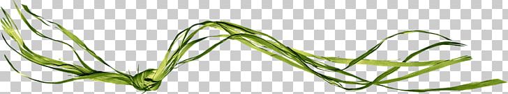 Leaf Grasses Line Angle Body Jewellery PNG, Clipart, Angle, Body Jewellery, Body Jewelry, Grass, Grasses Free PNG Download