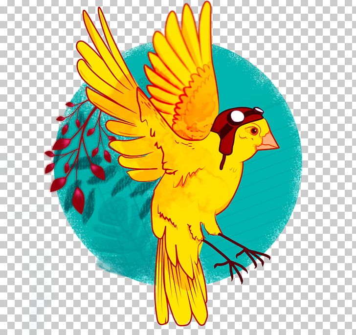 Macaw Feather Beak Parakeet Wing PNG, Clipart, Animals, Beak, Bird, Chicken, Chicken As Food Free PNG Download