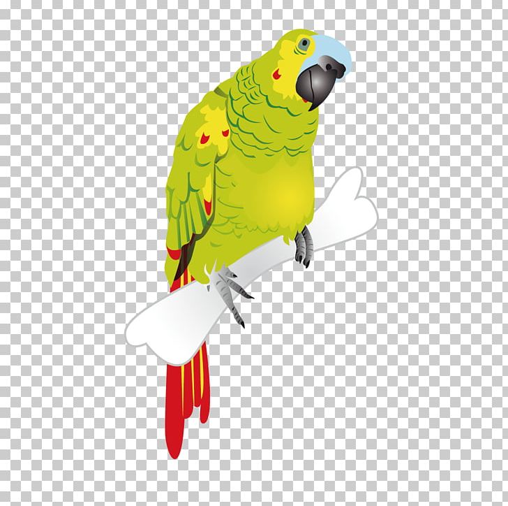 Parrothead Macaw Monk Parakeet PNG, Clipart, Adobe Illustrator, Animal, Background Green, Beak, Bird Free PNG Download
