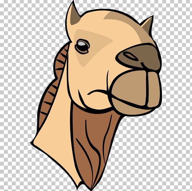 Bactrian Camel Dromedary Camel Face PNG, Clipart, Big Cats, Camel, Carnivoran, Cartoon, Cat Like Mammal Free PNG Download