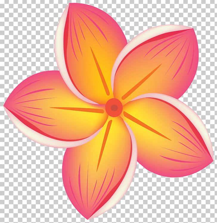 Flower PNG, Clipart, Blog, Document, Flower, Nature, Orange Free PNG Download