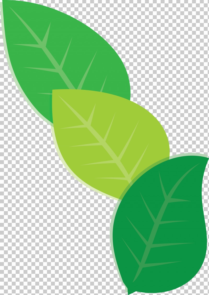 Leaf Plant Stem Green Font Meter PNG, Clipart, Biology, Green, Leaf, Meter, Plants Free PNG Download