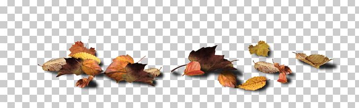 Blog Text Collage PNG, Clipart, Autumn, Blog, Collage, Leaf, Miscellaneous Free PNG Download