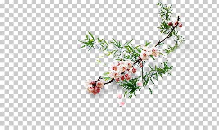 Flower Plum Blossom PNG, Clipart, Apricot Blossom Vector, Apricot Blossom Yellow, Apricot Flower, Apricots, Birdandflower Painting Free PNG Download