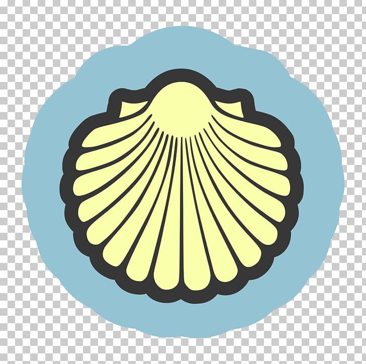 Scallop Seashell Clam PNG, Clipart, Big Shell Cliparts, Circle, Clam, Conch, Drawing Free PNG Download