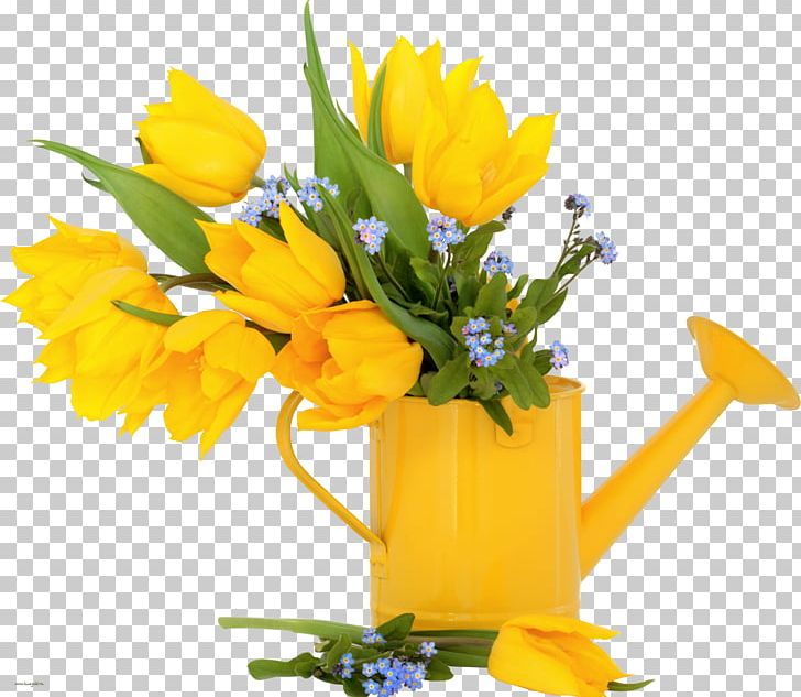 Tulip Flower Stock Photography Yellow PNG, Clipart, Blue, Cut Flowers, Floral Design, Floristry, Flower Free PNG Download