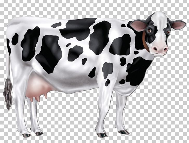 Taurine Cattle Fleckvieh Party Cowboy Farm PNG, Clipart, Agriculture, Animal, Animal Figure, Barn, Bull Free PNG Download