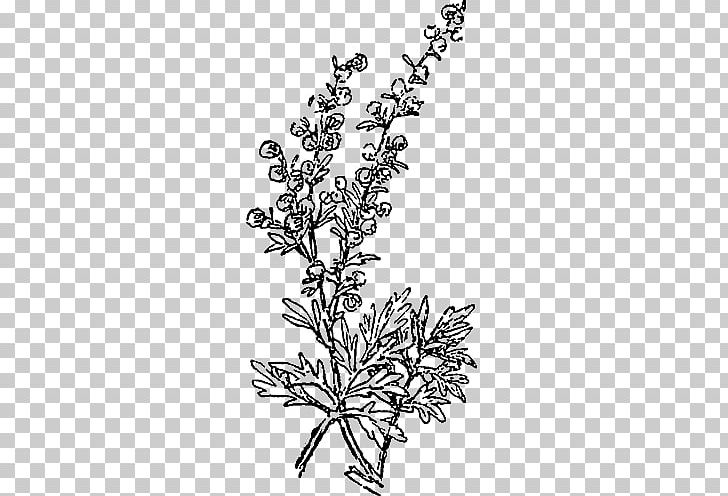 Drawing Plants Plant Stem Season Flowering Plant PNG, Clipart, Black And White, Body Jewelry, Branch, Calluna, Common Wormwood Free PNG Download