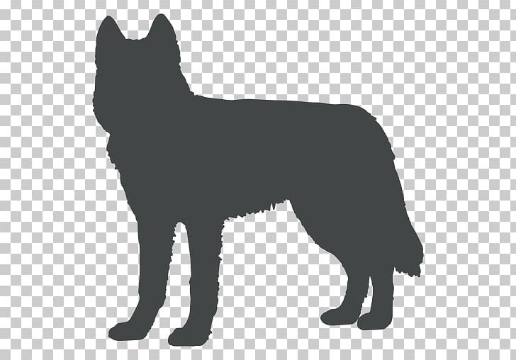 Australian Cattle Dog Schipperke Karelian Bear Dog Belgian Shepherd Australian Stumpy Tail Cattle Dog PNG, Clipart, Animal, Animals, Australian Cattle Dog, Australian Stumpy Tail Cattle Dog, Belgian Shepherd Free PNG Download