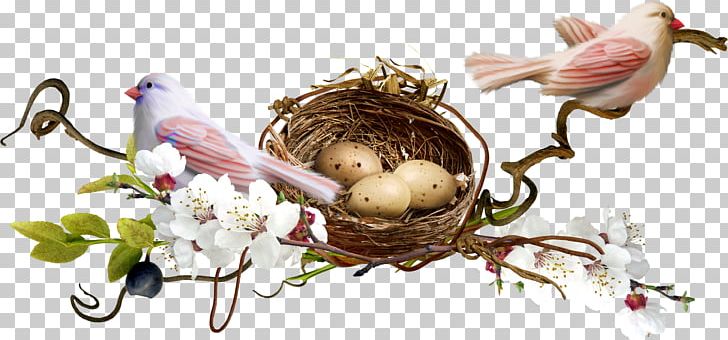 Bird Nest PNG, Clipart, Animals, Bird, Decorative, Decorative Pattern, Digital Image Free PNG Download