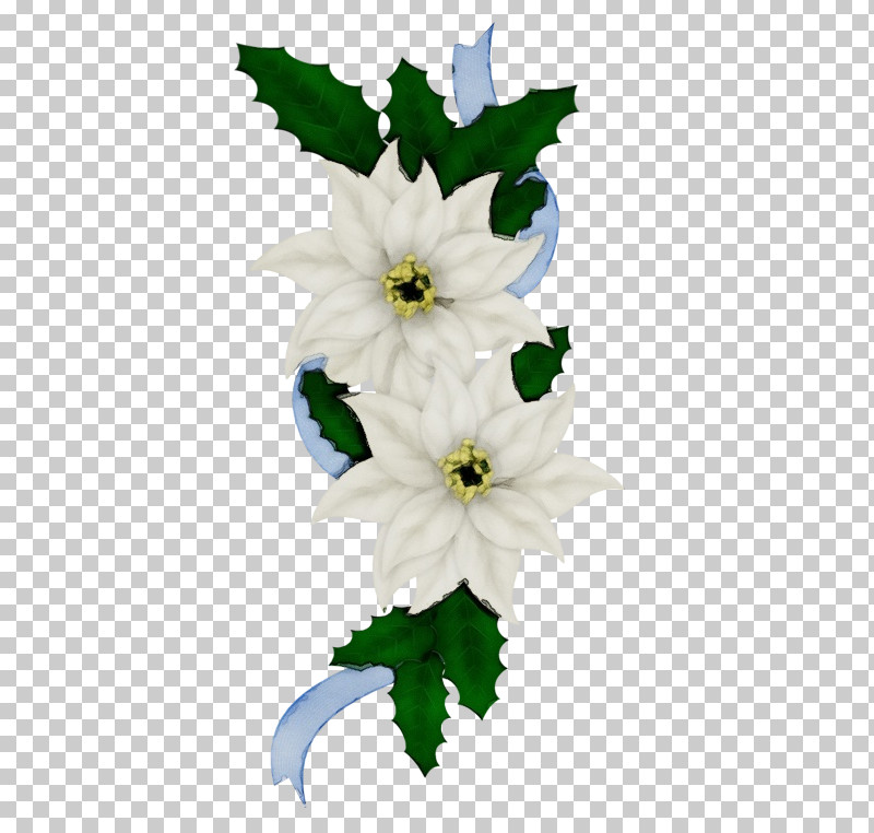 White Flower Plant Petal Cut Flowers PNG, Clipart, Bouquet, Cut Flowers, Flower, Paint, Petal Free PNG Download