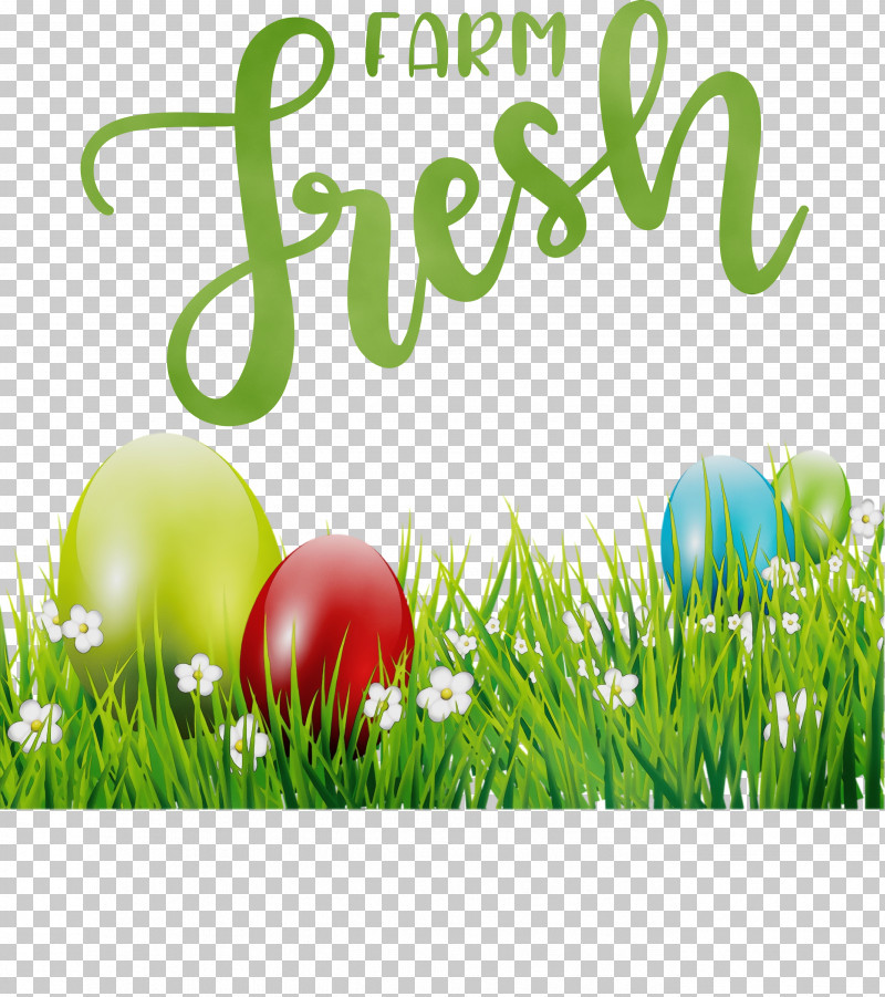 Easter Egg PNG, Clipart, Computer, Easter Egg, Egg, Farm Fresh, Grasses Free PNG Download