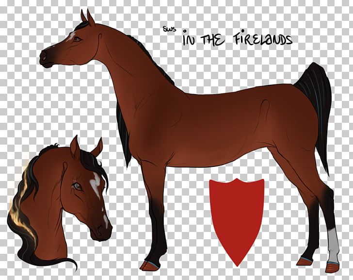 Foal Stallion Mare Colt Mustang PNG, Clipart, Aat Kings, Art, Artist, Bridle, Colt Free PNG Download