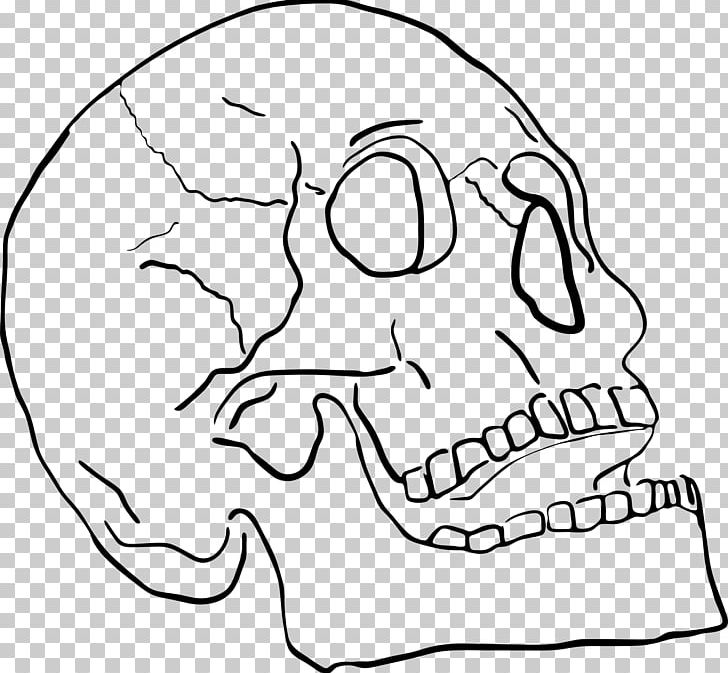 Jaw Skull Sticker Nose PNG, Clipart, Artwork, Black And White, Bone, Cartoon, Chee Free PNG Download
