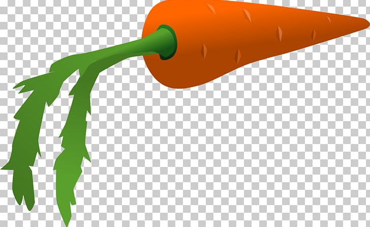 Carrot Cartoon Vegetable PNG, Clipart, Baby Carrot, Carrot, Cartoon, Food, Leaf Vegetable Free PNG Download