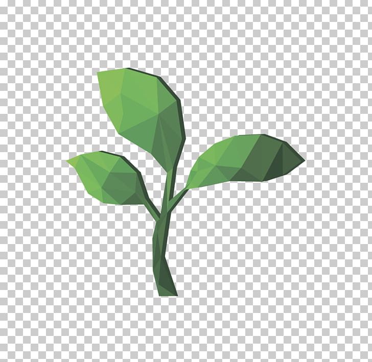 Leaf Plant Stem Tree PNG, Clipart, Leaf, Plant, Plant Stem, Tree Free PNG Download