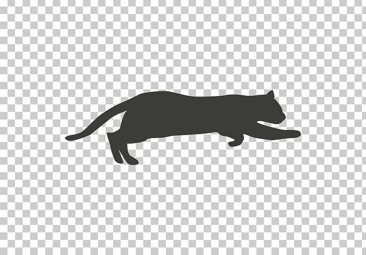 Black Cat Whiskers Pet PNG, Clipart, Animal, Animals, Black, Black And White, Black Cat Free PNG Download
