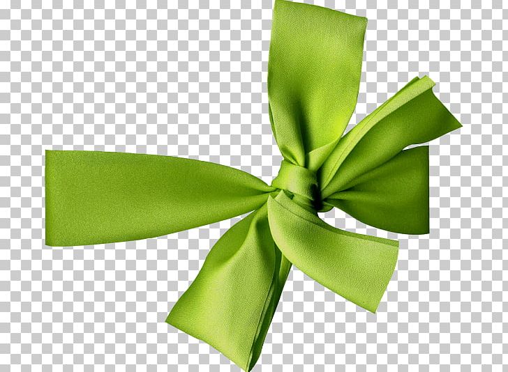 Ribbon Lazo PNG, Clipart, Bow Tie, Digital Image, Green, Knot, Lazo Free PNG Download