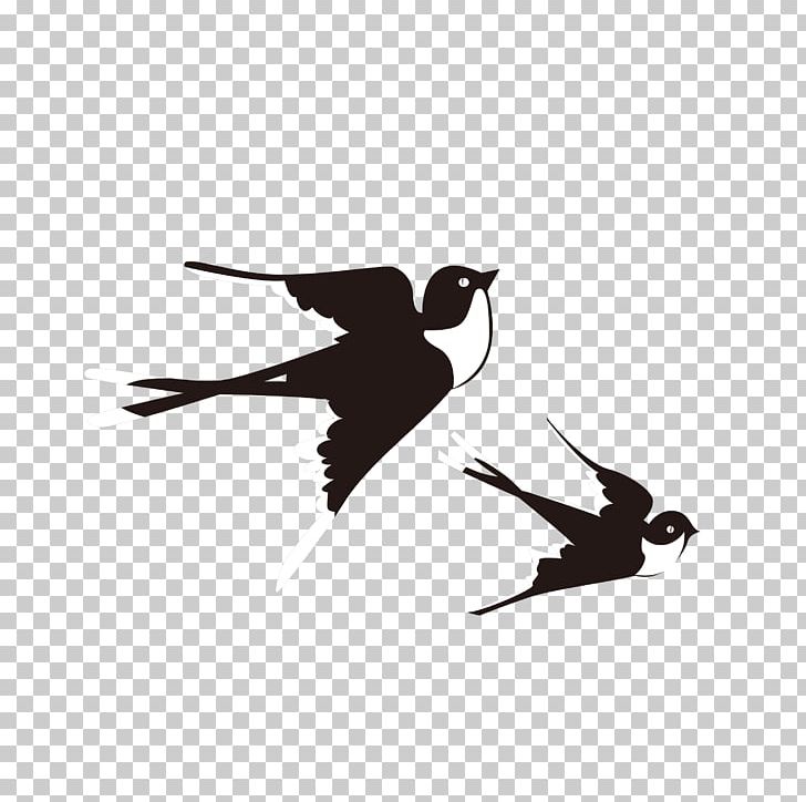 Swallow Bird Lichun PNG, Clipart, Beak, Bird, Bird Nest, Birds, Black And White Free PNG Download
