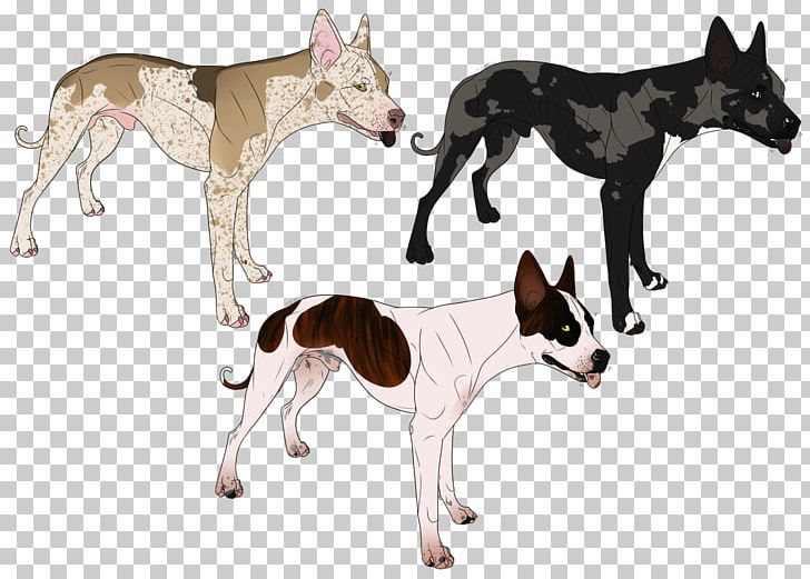 Dog Breed Canidae Carnivora Animal PNG, Clipart, Animal, Animals, Breed, Canidae, Carnivora Free PNG Download